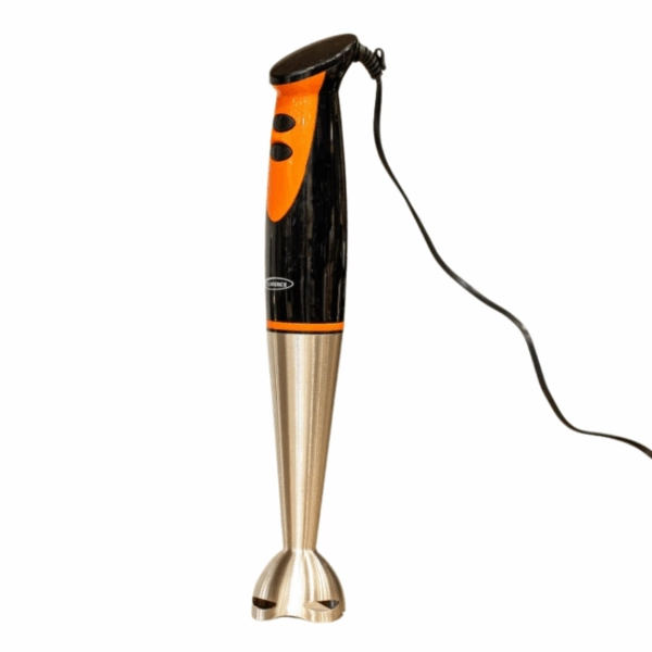 Mixeur Plongeant Florence – 300 Watts – HK-350